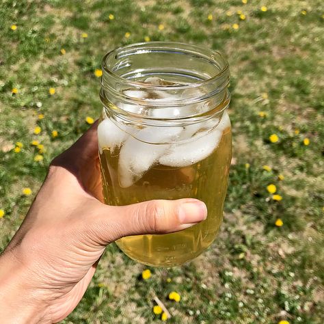 Dandelion iced tea · Tiny Trash Can Dandelion Iced Tea, Iced Dandelion Tea, Dandelion Tea Recipe, Hippy Food, Homemade Teas, Nature Medicine, Dandelion Root Tea, Medicine Recipes, Iced Tea Pitcher