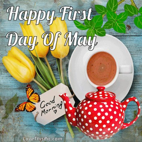 Good Morning Happy First Day Of May. Penicillin Soup, Hello May Quotes, Sweet Dreams Pictures, Welcome May, Good Morning Facebook, May Quotes, Love Good Morning Quotes, Mother Pictures, Good Morning Saturday