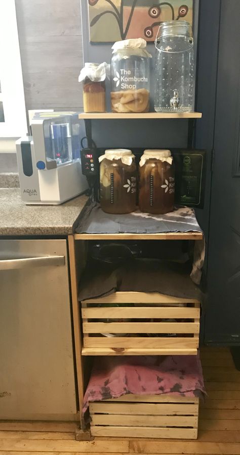 Kombucha brew station Fermentation Station, Brewing Kombucha, Kombucha Brewing Station, How To Start A Scoby For Kombucha, Diy Kombucha, Kefir Yogurt, Kombucha Bottles, How To Brew Kombucha, Synergy Kombucha