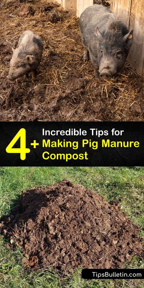 Composting Pig Manure, Composting Manure, Manure Compost Bin, Hot Composting, Composting Tips, Compost Turner, Manure Composting, How To Compost, Composters