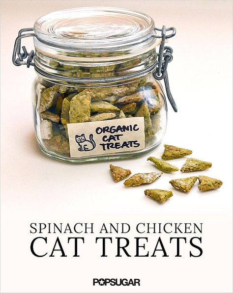 Homemade Organic Spinach and Chicken Cat Treats just because my cats are my children! :) Organic Cat Treats, Diy Cat Treats, Homemade Pet Treats, Pet Treats Recipes, Homemade Cat Food, Chicken Cat, Food Dog, Homemade Cat, Cat Treat Recipes