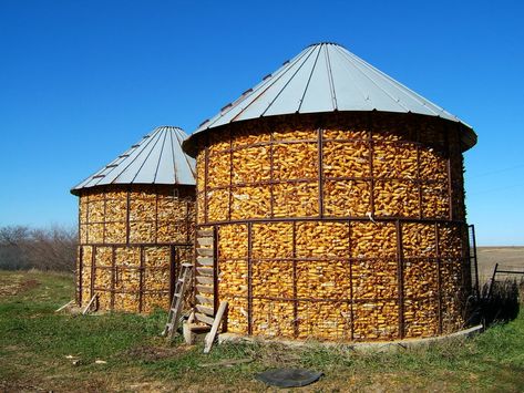 Corn Cribs. Unshelled corn harvest, stored in wire bins , #Sponsored, #Unshelled, #corn, #Corn, #Cribs, #wire #ad Street Beautification, Corn Harvest, Grain Bins, Landscape References, Corn Crib, Corn Grain, Crib Design, Wire Bins, Grain Storage