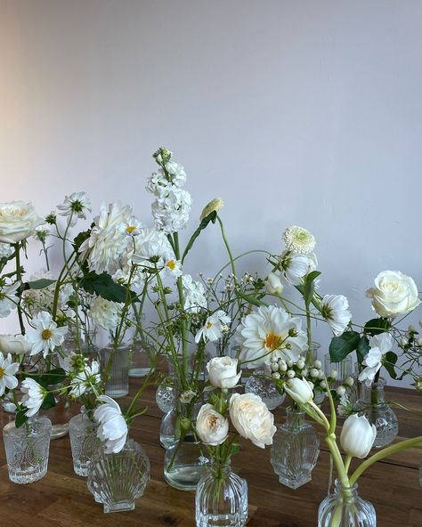 save this for inspo if you love romantic english garden vibes ~ white & green edition 🍃🍵🫧🤍🌱🧺🥑🕊️🥝🦢👒 Flowers For Green Wedding, Green And White Garden Wedding, Wedding Inspo Minimalist, English Garden Wedding Decor, Purple Green And White Wedding, Wedding Florals Simple, Green And White Flowers Wedding, All White Wedding Florals, Green And White Table Decor