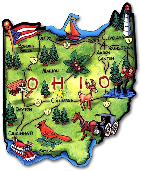 Amazon.com: Ohio Artwood State Magnet Collectible Souvenir by Classic Magnets : Home & Kitchen 50 States Travel, Usa Maps, Ohio Flag, Ohio Map, Cat Lady Gift, Paper Collage Art, Usa Map, Travel Souvenirs, State Map