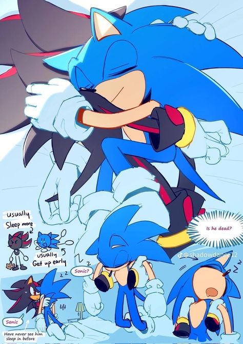 Sonic And His Friends, Sonic X Shadow Fanart, Bro What, Shadow Sonic, Sonic Heroes, Sonic Funny, Blue Hedgehog, X Twitter, Sonic Franchise