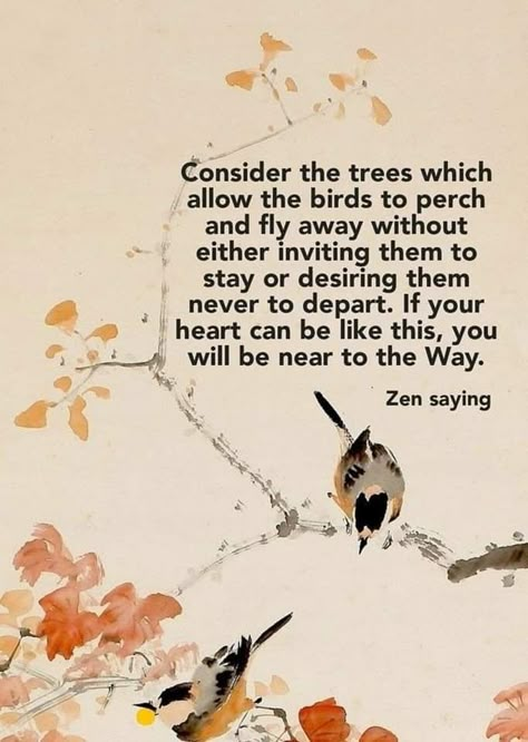 Zen Buddhism Quotes, Zen Tree, Zen Proverbs, Rumi Quotes Soul, Thich Nhat Hanh Quotes, Life Proverbs, Zen Philosophy, Tree Quotes, Stoicism Quotes