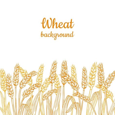 Premium Vector | Agriculture wheat logo template Wheat Logo, Logo Templates, Agriculture, Premium Vector, Wheat, Graphic Resources, ? Logo