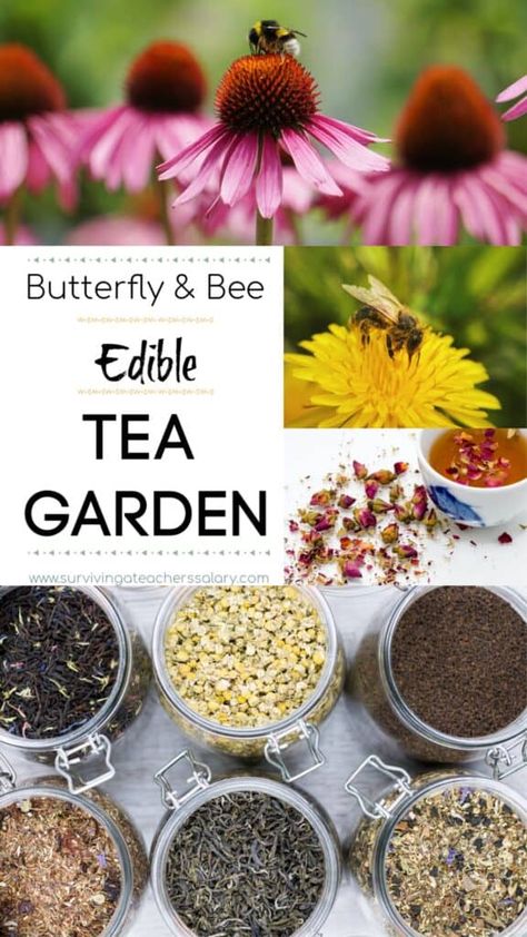 Butterfly And Bee Garden, Tea Blends Recipes, Herbal Tea Garden, Medicinal Herbs Garden, Herbal Teas Recipes, Home Doctor, Bee Garden, Meaningful Relationships, Pollinator Garden