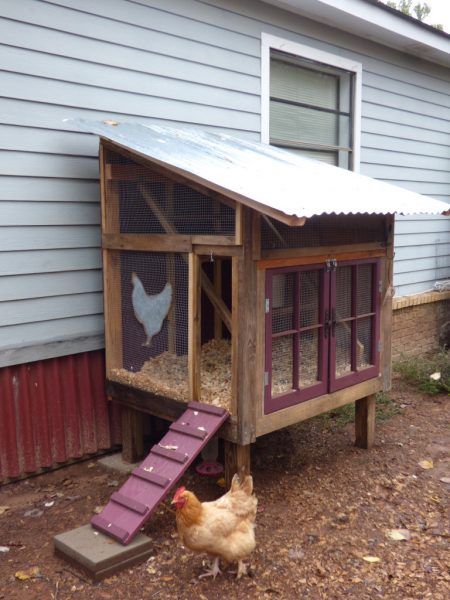 Brooder Coop, Chicken Shelter, Urban Chicken Farming, Small Chicken Coops, Easy Chicken Coop, Urban Homestead, Portable Chicken Coop, Diy Chicken Coop Plans, Chicken Tractor