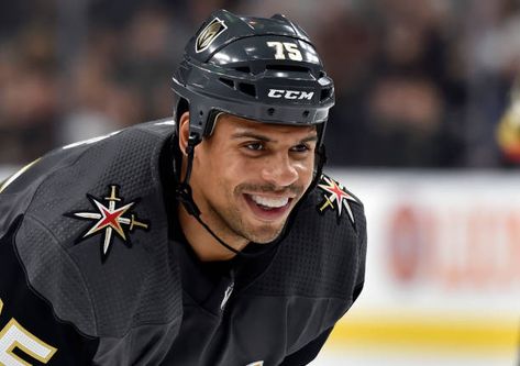 Ryan Reaves, Famous Birthdays, Vegas Golden Knights, Golden Knights, Knights, Riding Helmets