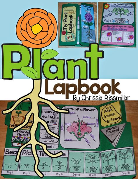 My Products Plant Lap Book, Parts Of A Seed, Lapbook Ideas, Plant Lessons, Flower Parts, Gardening Activities, Envelope Book, Plants Unit, Plant Activities