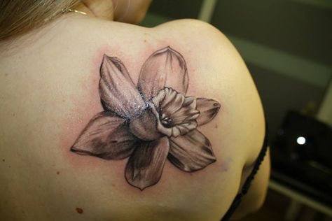 Narcissus tattoo Momma Tattoo, Narcissus Flower Tattoo, Narcissus Tattoo, December Tattoo, Narcissus Flower Tattoos, April Flower, Body Flowers, Narcissus Flower, Birth Flower Tattoos