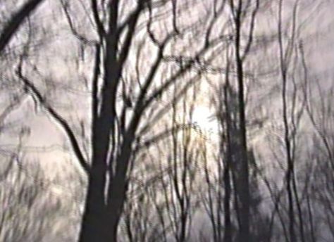 Requiem For A Dream, Midwest Emo, Dreamcore Weirdcore, Southern Gothic, In The Woods, Dark Aesthetic, Pretty Pictures, Aesthetic Pictures, The Sun