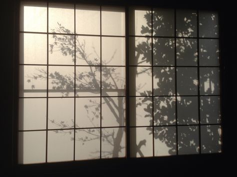 Shoji shadows Aesthetic Japan, The Shadow, Slice Of Life, Tolkien, 인테리어 디자인, Wabi Sabi, Jujutsu Kaisen, Jujutsu, Kyoto