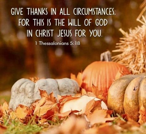 Thanksgiving Scripture Quotes, Thankful Scripture Quotes, Happy Thanksgiving Quotes Friends, Thankful Scripture, Thanksgiving Quotes Christian, Thanksgiving Verses, Thanksgiving Scripture, Thanksgiving Bible Verses, Fall Bible Verses