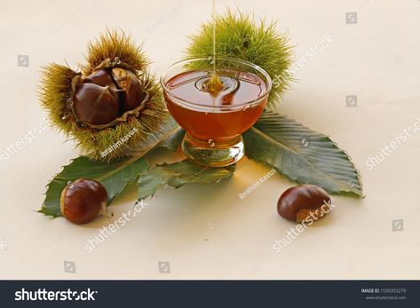 natural chestnut and chestnut honey #Ad , #PAID, #natural#chestnut#honey Chestnut Flower, Chestnut Honey, Snack Items, Organic Honey, Natural Honey, Single Flower, Living Food, Chestnut, Natural Ingredients