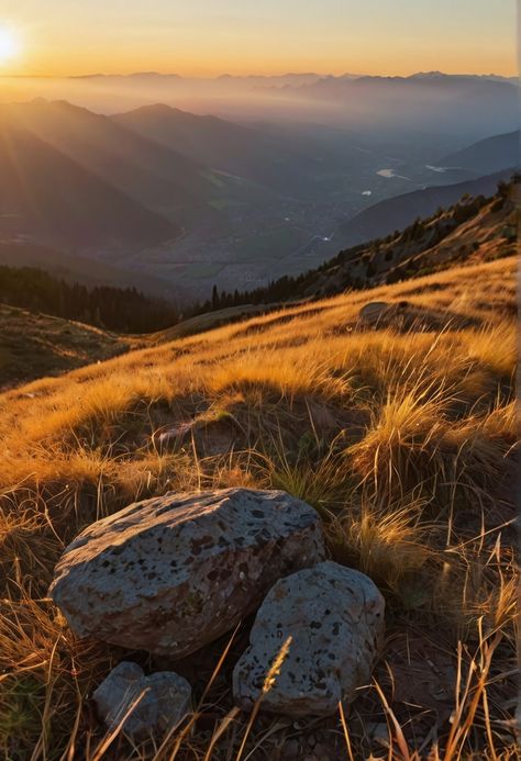 Sunset View From The Top Of A Mountain#pikbest##Photo Mountain Top Sunset, View From Mountain Top, Mountain Top View, Cloud Mountain, Top Of A Mountain, Forest Sunset, Painting Reference, Evening Sunset, Single Tree