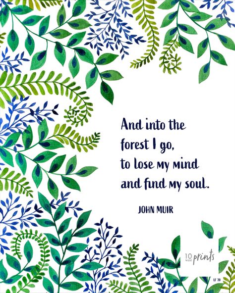 Into The Forest I Go To Lose My Mind, Bookmarks Quotes, Nature Quote, Into The Forest I Go, Into The Forest, Wonderful Life, John Muir, Quotes And Notes, Watercolor Leaves