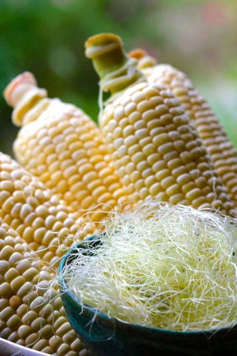 Shucking Corn, Corn Silk, Harvest Recipes, Herbal Recipes, Healing Plants, Herbal Healing, Homeopathic Remedies, Herbal Blends, Urinary Tract