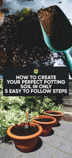 How to Make the Perfect Potting Soil Recipe in 5 Easy-to-Follow Steps Soil Recipe, Composting Ideas, Helping Nature, Garden Diy Projects, Compost Soil, Backyard Gardening, New Garden, Greenhouse Gardening, Composting