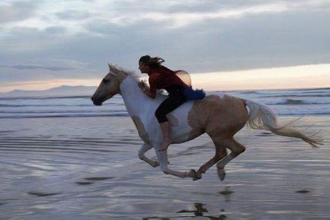 Alycia Burton, Strand Shoot, Bareback Riding, Natural Horsemanship, Horse Quotes, Equestrian Life, Poses References, Horse Life, Horse Photography