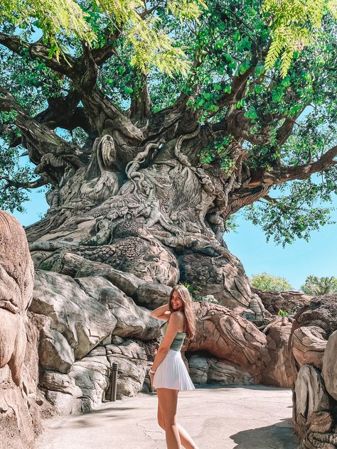 Disney Animal Kingdom Picture Ideas, Walt Disney Photos, Disney Florida Pictures, Disney Picture Inspiration, Photos At Disney World, Disney World Instagram, Disney Animal Kingdom Aesthetic, Disney Animal Kingdom Photo Ideas, Photo Ideas For Disney World