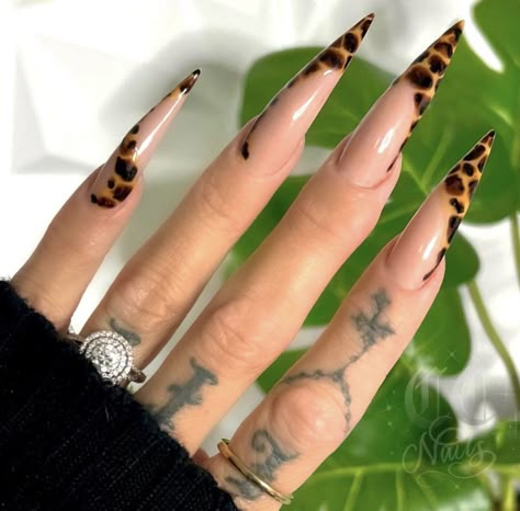 Stiletto Leopard Nails, Ideas Nails Summer, Nails Summer Nails, Leopard Print Nails, Stiletto Nails Designs, Print Nails, Glow Nails, Leopard Nails, Dope Nail Designs