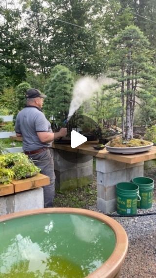 Bonsai Society on Instagram: "Bonsai watering is an art  🚿Bonsai master @davideasterbrookbonsai   #bonsai #bonsaisociety #bonsaiwatering #plantsinfocus #treecare #treeoflife #plantparent #davideasterbrook #bonsaitree #forest #cultivation #bonsaigram" Bonsai Forest, Bonsai Art, Staying Hydrated, Bonsai Garden, Tree Care, Bonsai Pots, Bonsai Tree, Tree Of Life, Trees