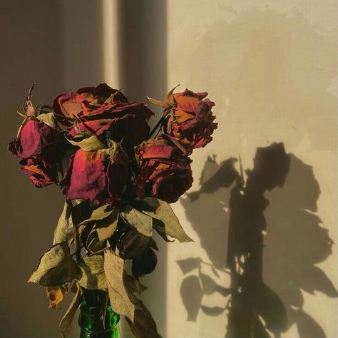 Drying Roses, Rosé Aesthetic, Nothing But Flowers, Mötley Crüe, Flower Candle, Foto Ideas Instagram, Rose Painting, Red Aesthetic, My Flower