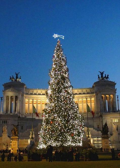 Christmas Rome Italy, Italy In Christmas, Italy Christmas Aesthetic, Rome Christmas Aesthetic, Christmas In Italy Aesthetic, Venice Christmas, Rome Christmas, Christmas Italy, Huge Christmas Tree