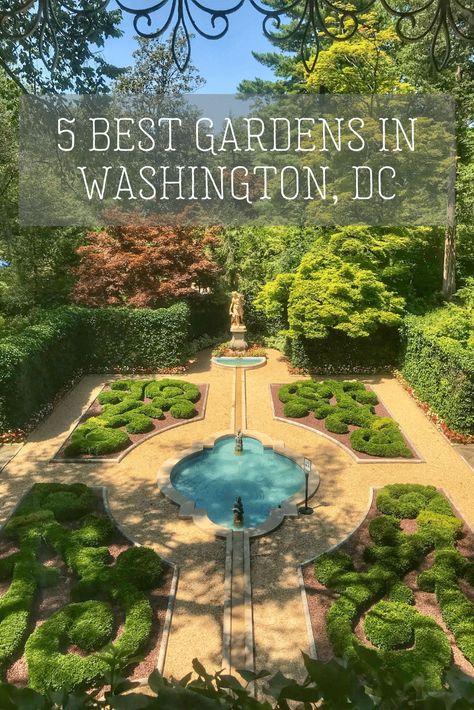 A list of the top 5 best gardens in D.C. The list includes the location, cost, best time, and a few reasons to visit each garden. Solo Life, Washington Travel, Trip Destinations, Washington Dc Travel, Dc Travel, Us Road Trip, Vacation Usa, Family Road Trips, Family Trip