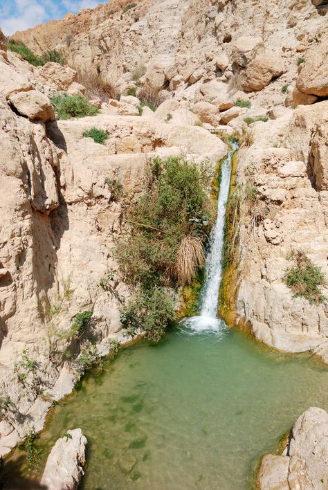 Ein Gedi, Holy Land, Beautiful Landscapes, The Dreamers, Travel Inspiration, Oasis, National Park, Tourism, Photo Image