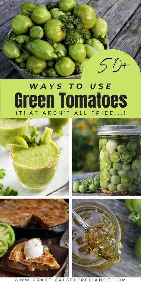 Green Tomato Recipes ~ Looking for ways to use green tomatoes? Here's every green tomato recipe you could possibly need, from ketchup to jam to cocktails, bread and chili. A few fried green tomato recipes too, just for good measure. Green Tomato Preserves, Cherry Green Tomato Recipes, Ways To Use Green Tomatoes, Small Green Tomato Recipes, Green Tomato Canning, Dehydrated Green Tomatoes, Green Tomato Recipes Canning, Green Roma Tomato Recipes, Roasted Green Tomato Recipes