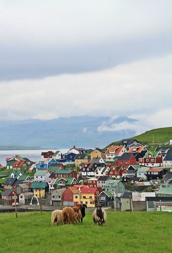 Faroe Islands Photography, Faroe Islands Travel, Faroe Island, Faroe Islands Denmark, World Most Beautiful Place, 수채화 그림, Faroe Islands, Beautiful Places In The World, Magical Places