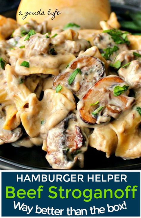 French Onion Chip Dip, Ground Beef Egg Noodles, Hamburger Helper Beef Stroganoff, Beef Egg Noodles, Tender Recipes, Hamburger Stroganoff, Hamburger Helper Recipes, Homemade Meat Sauce, Ground Beef Stroganoff