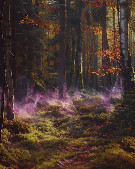 A hauntingly beautiful sight Hauntingly Beautiful Aesthetic, Fairytale Woods, Fantasy Woods, Secret Garden Art, Big Paintings, Faerie Aesthetic, Fairytale World, Mystical Forest, Magic Forest