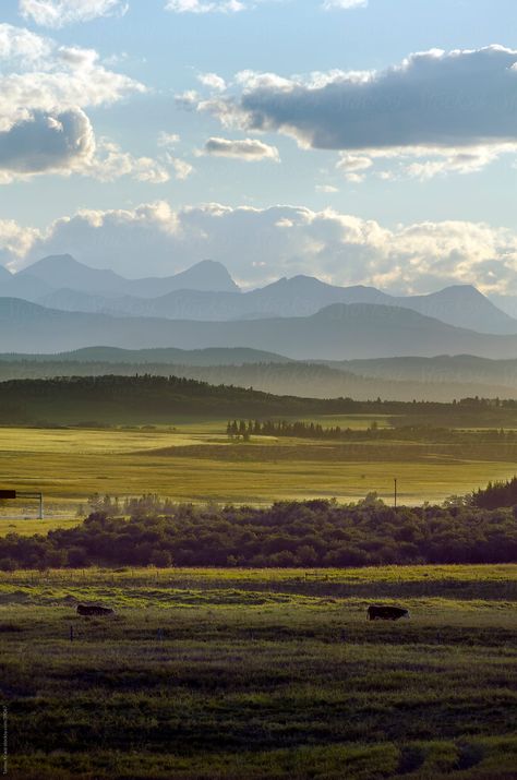 Alberta Landscape Paintings, Alberta Prairie, Alberta Landscape, Vertical Landscape, Future Photos, Western Canada, Take Better Photos, Lake George, Calgary Alberta