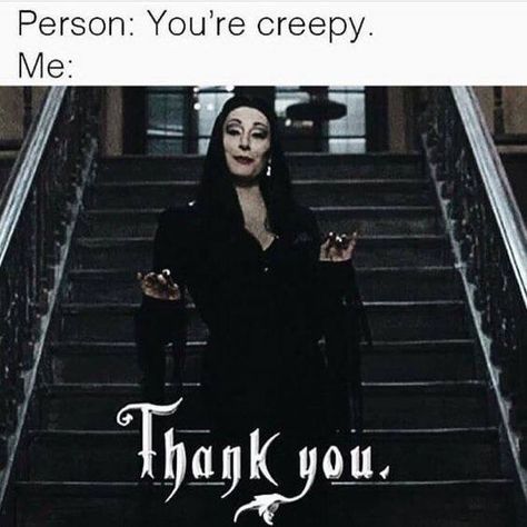 Addams Family Quotes, Goth Humor, Halloween Meme, Addams Familie, Goth Memes, Gomez And Morticia, Halloween Memes, Morticia Addams, Adams Family