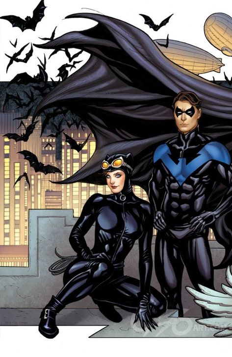 Nightwing Batman, Batman Catwoman, Frank Cho, Catwoman Cosplay, Justice League Wonder Woman, Batman And Catwoman, Batman Beyond, Batman Universe, Batman Family