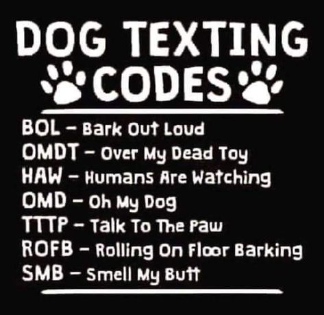 X Texting Codes, Dog Quotes Love, Dog Rules, Airedale Terrier, Paw Prints, Animal Quotes, Dog Quotes, One Stop Shop, Dog Memes