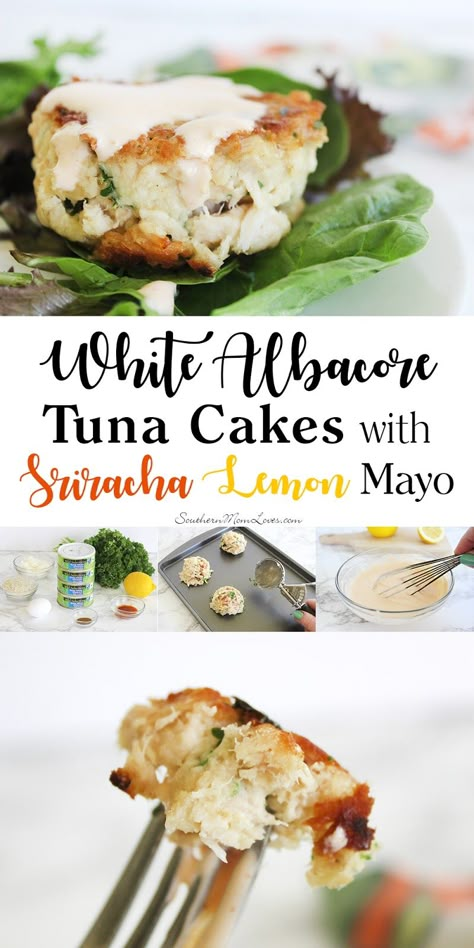 Albacore Tuna Recipes, Tuna Fish Salad, Tuna Fish Recipes, Delicious Lasagna, Tuna Cakes, Recipe Salad, Albacore Tuna, Tuna Fish, Tuna Recipes