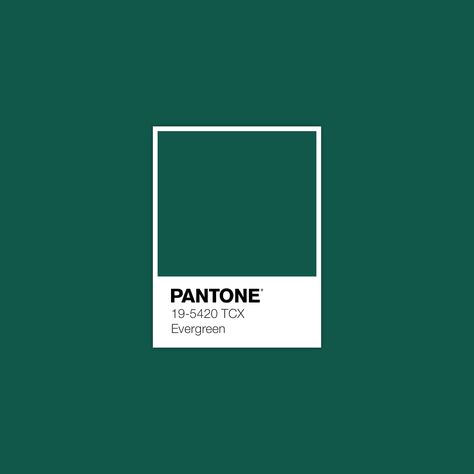 Evergreen swatch Color Palette For Home, Burgundy Room, Pantone Green, Color Of The Week, Pantone Palette, Pantone Colour Palettes, Style Deco, Color Inspo, Color Swatch