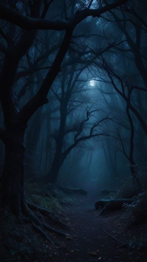 Gothic Landscape, Blue Hour Photography, Eerie Places, Creepy Backgrounds, Dark Forest Aesthetic, Spooky Night, Gothic Wallpaper, Forest Background, Dark Nature Aesthetic