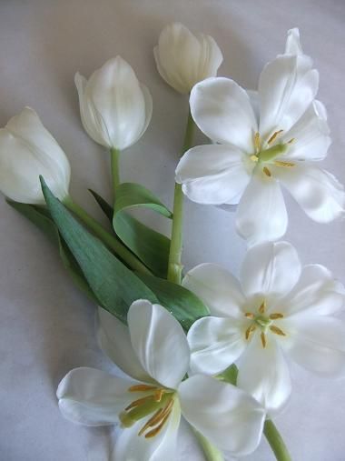 Reflex tulips Reflexed Tulips, Tulip Petals, Tulips Arrangement, Flower Varieties, Modern Floral Design, Arrangement Ideas, Tulip Bouquet, Spring Weddings, Favorite Flower