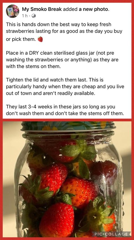 Preserving Strawberries, Storing Produce, Preserving Food, Fresh Strawberry, Kitchen Hacks, Fruits And Veggies, Fruits And Vegetables, Mason Jar, Glass Jars