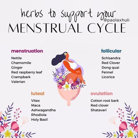 Herbs To Regulate Menstrual Cycle, Natural Remedies For Menstrual Cycle, Menstrual Cycle Spiritual, Herbs Menstrual Cycle, Herbs For Cycle Phases, Herbal Tea Cycle Syncing, Herbal Menstrual Relief, Cycle Syncing Herbal Teas, Food Based On Menstrual Cycle