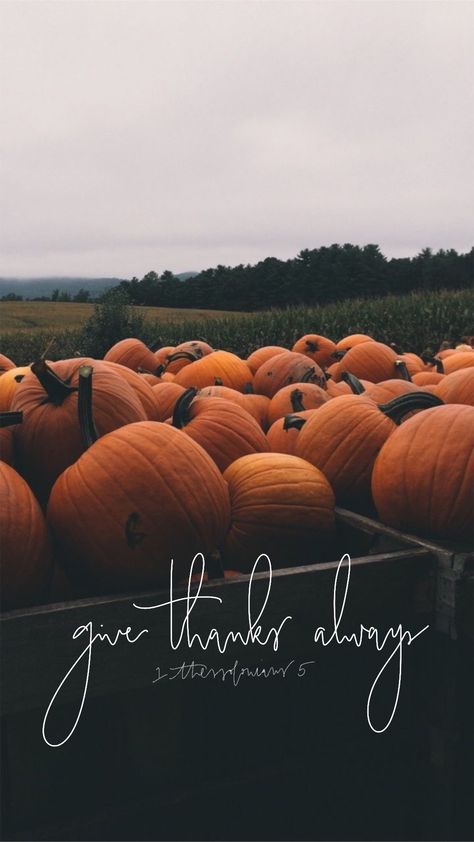 Give thanks always. Pumpkins  1 Thessalonians 5 Autumn Phone Wallpaper, Christian Fall, Thanksgiving Wallpaper, Cute Fall Wallpaper, Autumn Beauty, Fall Pictures, Digital Backdrops, Fall Wallpaper, Painted Pumpkins