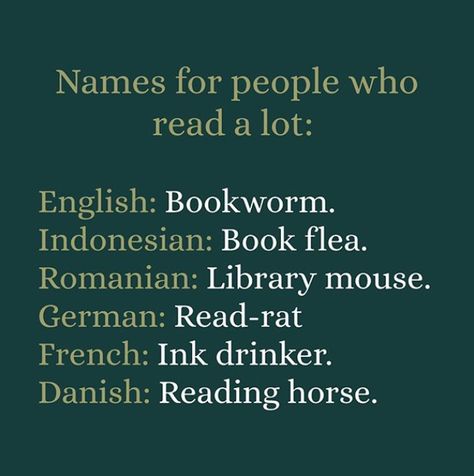 People Who Read A Lot | Writers Write Book Nerd Problems, Book Jokes, Quotes For Book Lovers, Reading Quotes, Book Dragon, Book Memes, Big Book, Book Humor, Book Fandoms