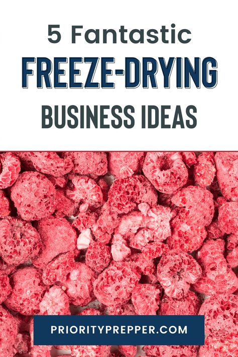 5 Freeze-Drying Business Ideas via @PriorityPrepper Freeze Dried Treats, Freeze Meal Prep, Freeze Drier, Astronaut Food, Freeze Dried Food Storage, Freeze Dried Vegetables, Harvest Right Freeze Dryer, Freeze Dried Dog Treats, Best Freeze Dried Food