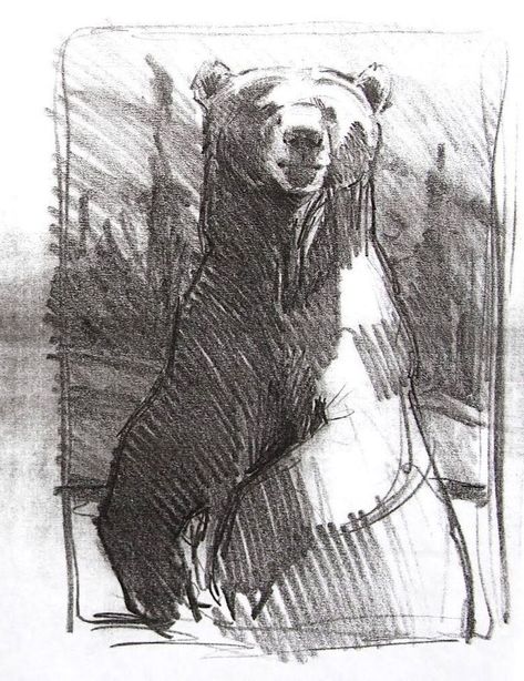 Brother Bear Art, Drawing Bears, Magical Mountain, Brother Bear, Personal Gifts, Bear Cub, Arte Sketchbook, Arte Inspo, Bear Art